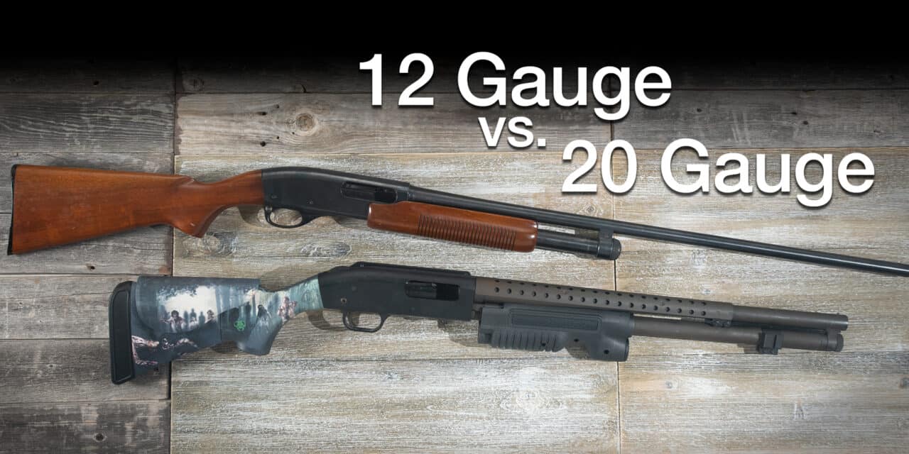 Comparing 12 Gauge vs 20 Gauge