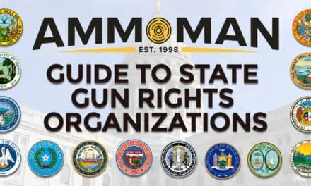 State Level Gun Rights Groups