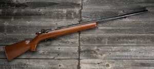 single shot 22 rifle
