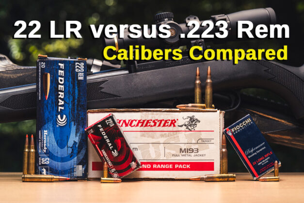 22LR vs 223 – 22 Cals Compared