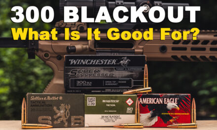 What is 300 Blackout Good For?