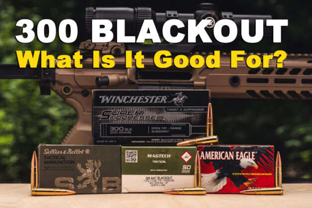 What is 300 Blackout Good For?