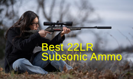 Finding the Best Subsonic 22LR Ammo