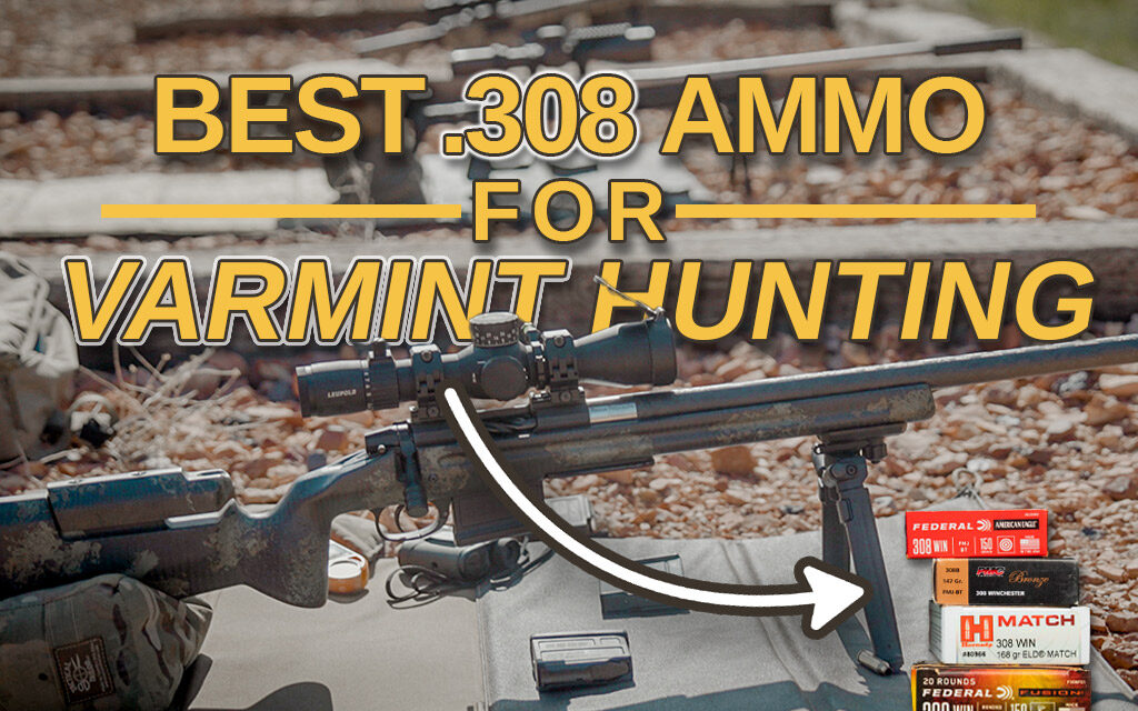 Best 308 Varmint Hunting Ammo