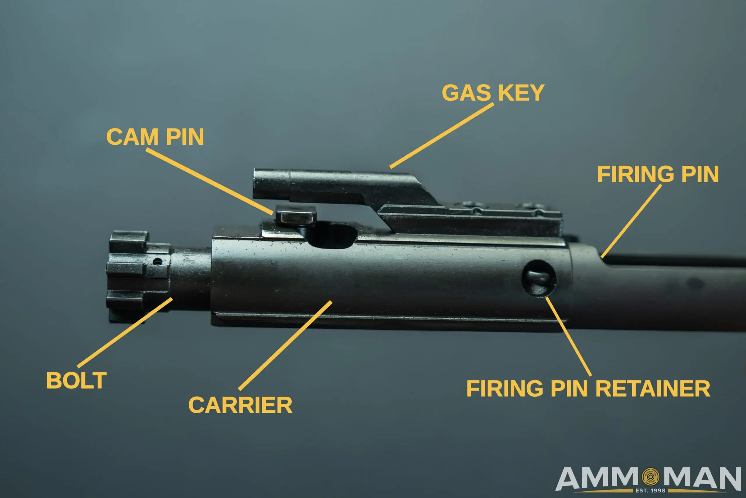 Parts of an AR15 bolt carrier