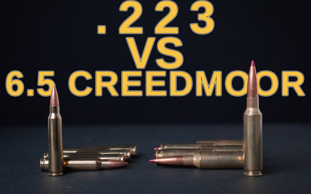 223 vs 6.5 Creedmoor