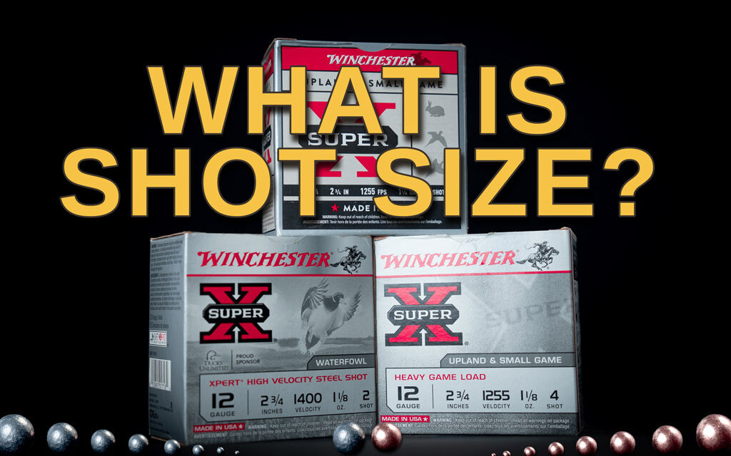 Shotgun Shot Size Chart: Shotgun Ammo Simplified