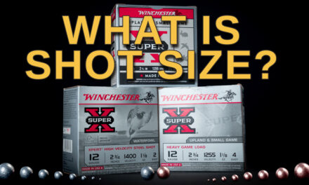 Shotgun Shot Size Chart: Shotgun Ammo Simplified