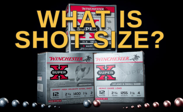 Shotgun Shot Size Chart: Shotgun Ammo Simplified