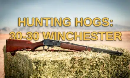 30-30 for Hunting Hogs