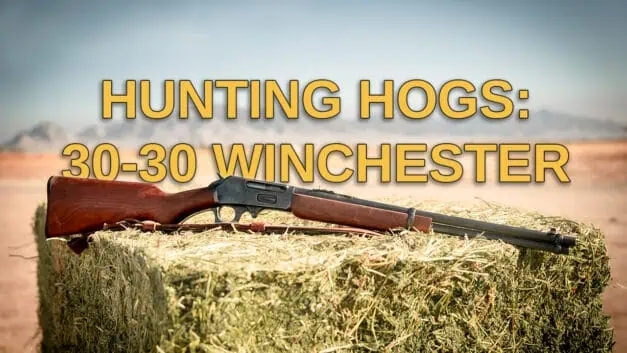 30-30 for Hunting Hogs