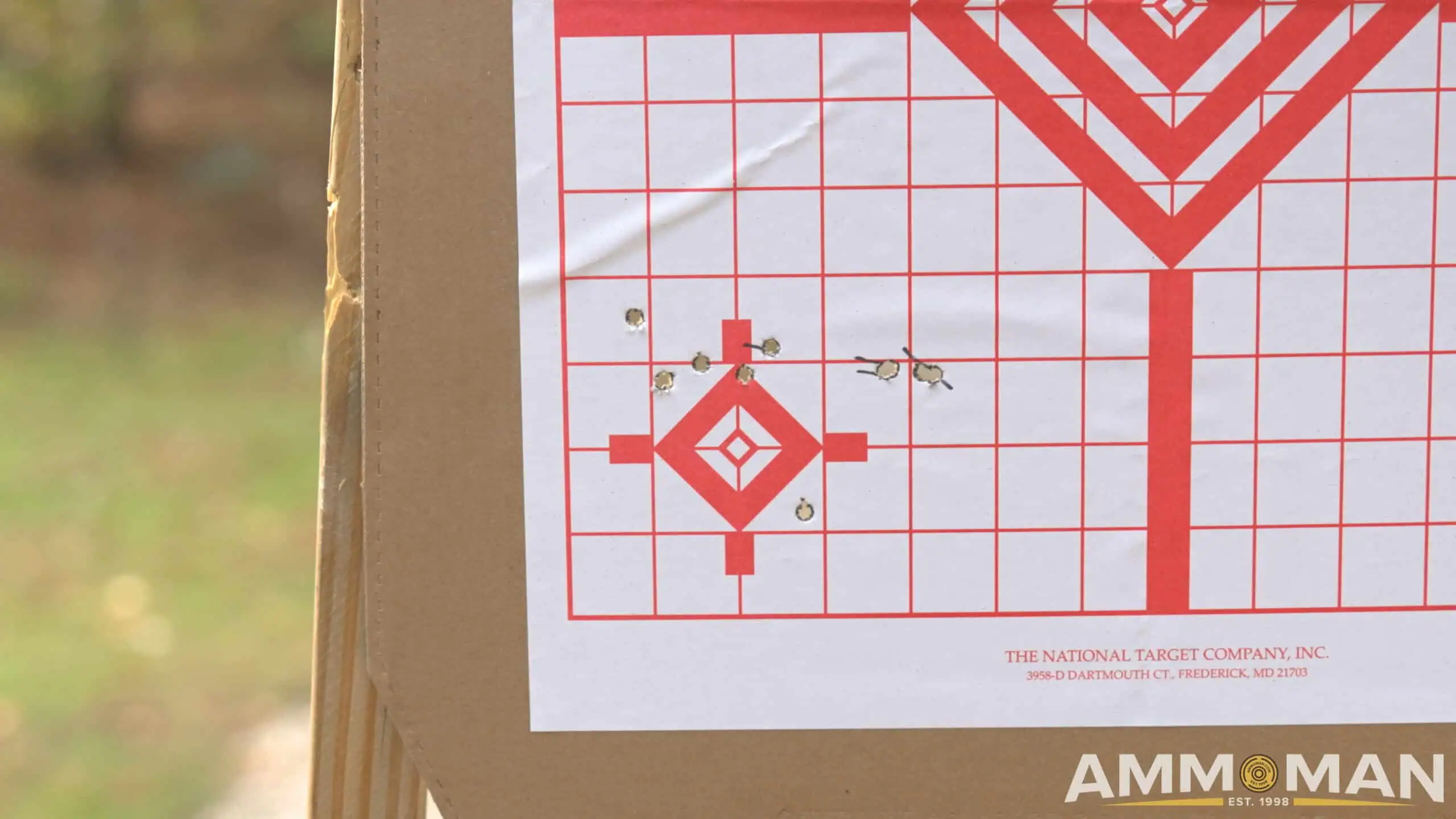 Target with 5-shot groups.