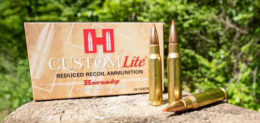 best 308 ammo for deer hunting