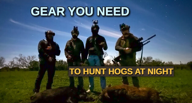 Hog Hunting at Night