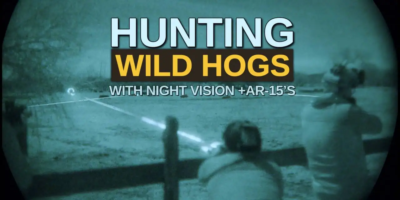 AR-15 Hog Hunting Rifle Setup