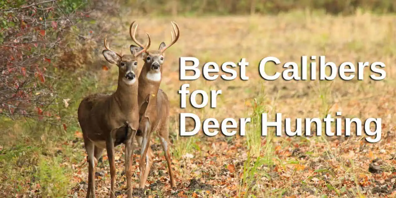 Best Deer Hunting Caliber – Our Picks