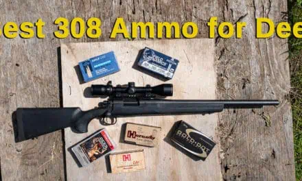 Best 308 Ammo for Deer Hunting