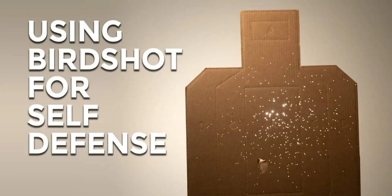 Birdshot For Home Defense?