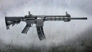 S&W M&P-15 22