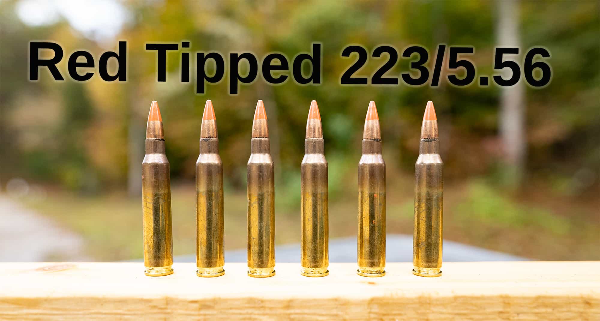 Red Tip 223 5 56 Ammo What s The Point 