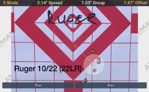 Ruger 10/22 target