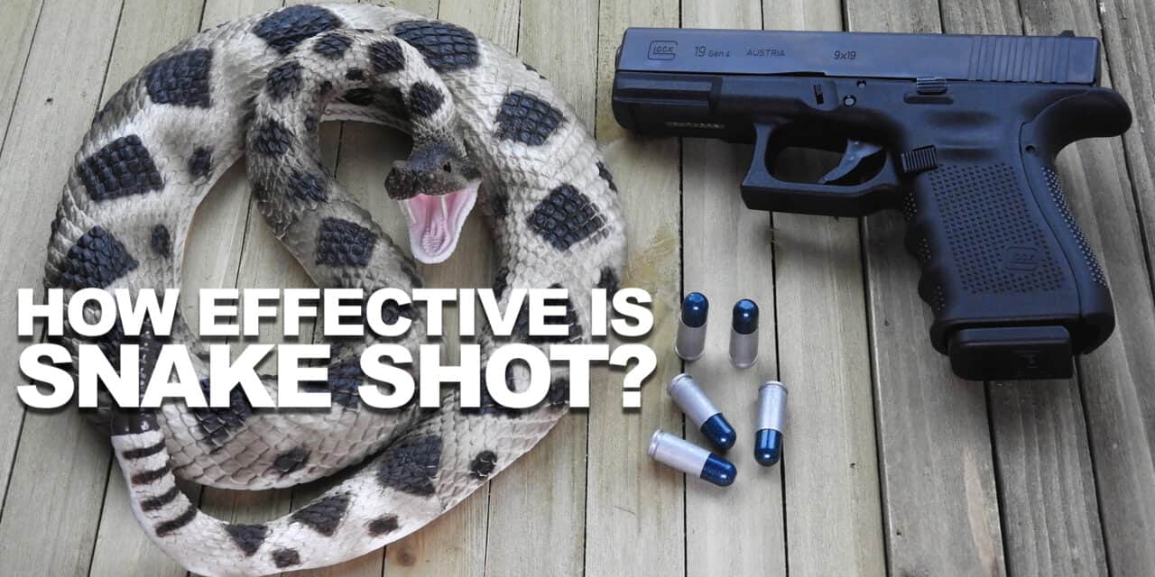 How Effective Is Snake Shot?