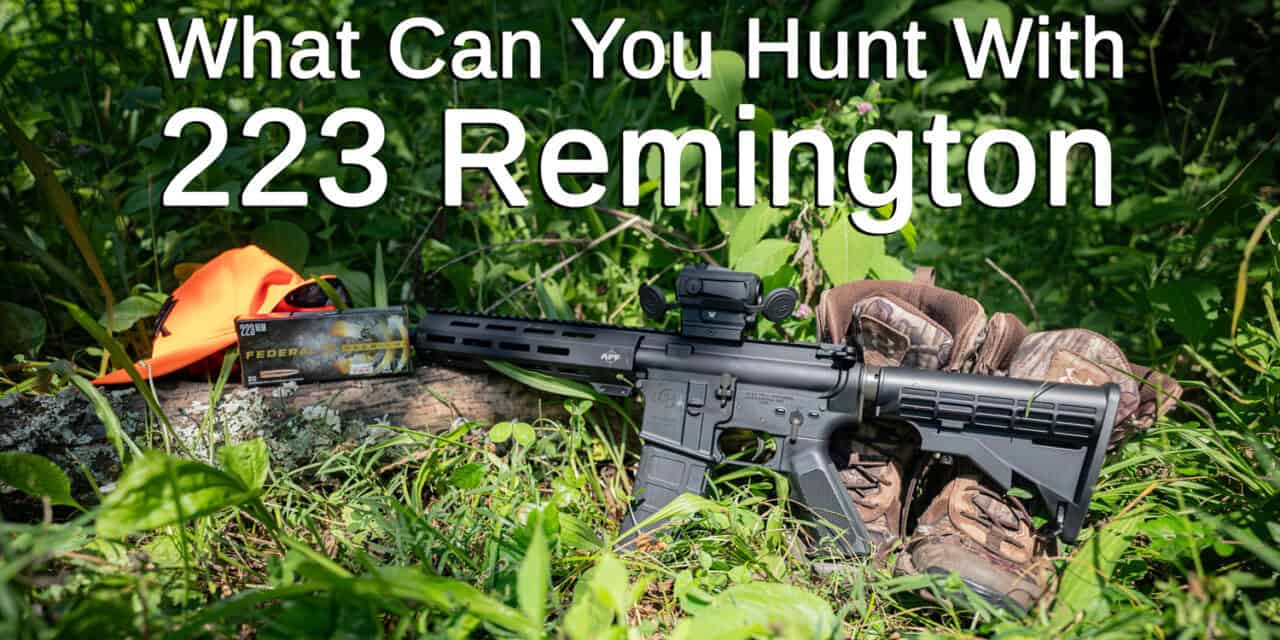 What Can You Hunt With 223 Ammo?