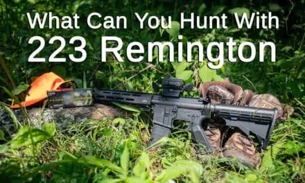 What Can You Hunt With 223 Ammo?