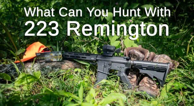 What Can You Hunt With 223 Ammo?